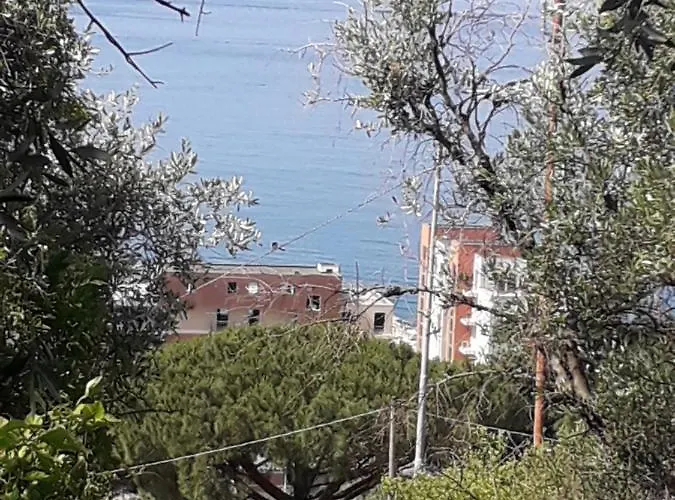 Tigullio Vacations Panoramica 度假居 *