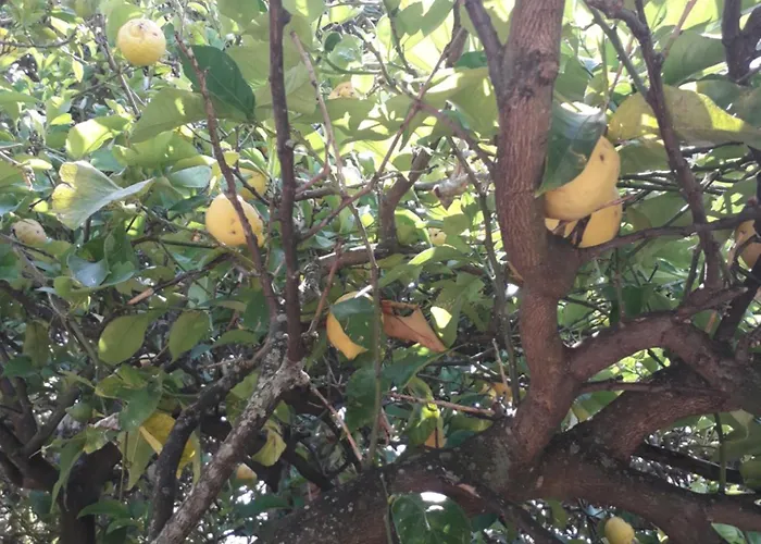 Tigullio Vacations Panoramica 度假居