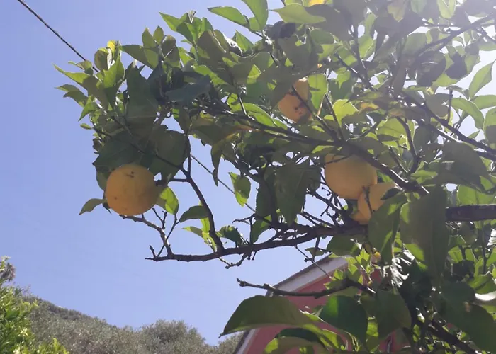 Tigullio Vacations Panoramica