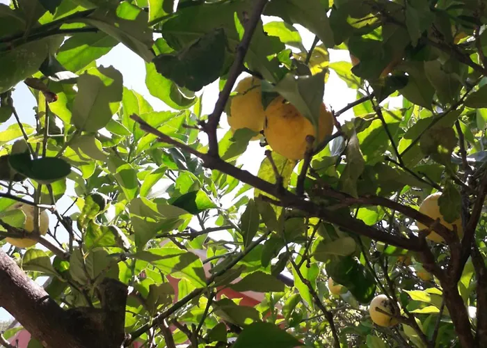 Tigullio Vacations Panoramica * 拉瓦尼亚