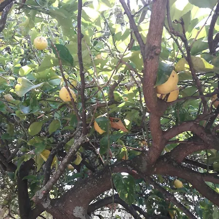 Tigullio Vacations Panoramica Σπίτι διακοπών