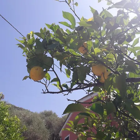 Tigullio Vacations Panoramica