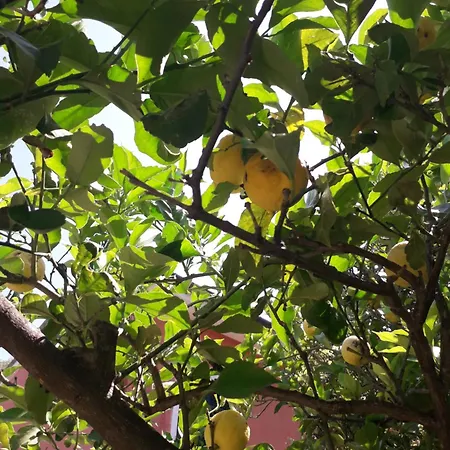 Tigullio Vacations Panoramica * Lavagna